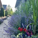 Przystanek Prawdowo * Mikołajki