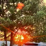 Przystanek Prawdowo *