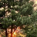 Przystanek Prawdowo Mikołajki