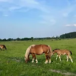 Hébergement de vacances Przystanek Prawdowo