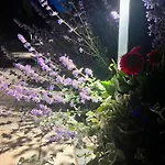 Przystanek Prawdowo *