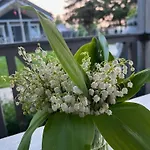 Przystanek Prawdowo * Mikołajki