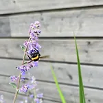 Przystanek Prawdowo Hébergement de vacances *