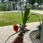 Hébergement de vacances Przystanek Prawdowo