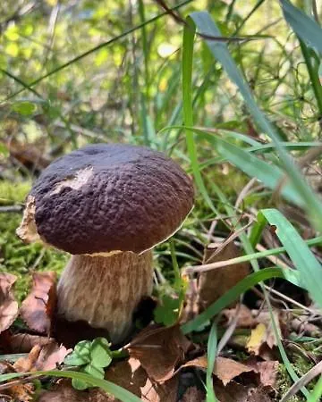 Przystanek Prawdowo